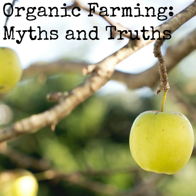 Organic-Farming1.jpg