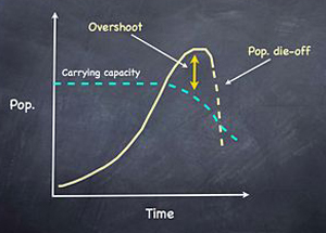 PopulationGraph_300.jpg